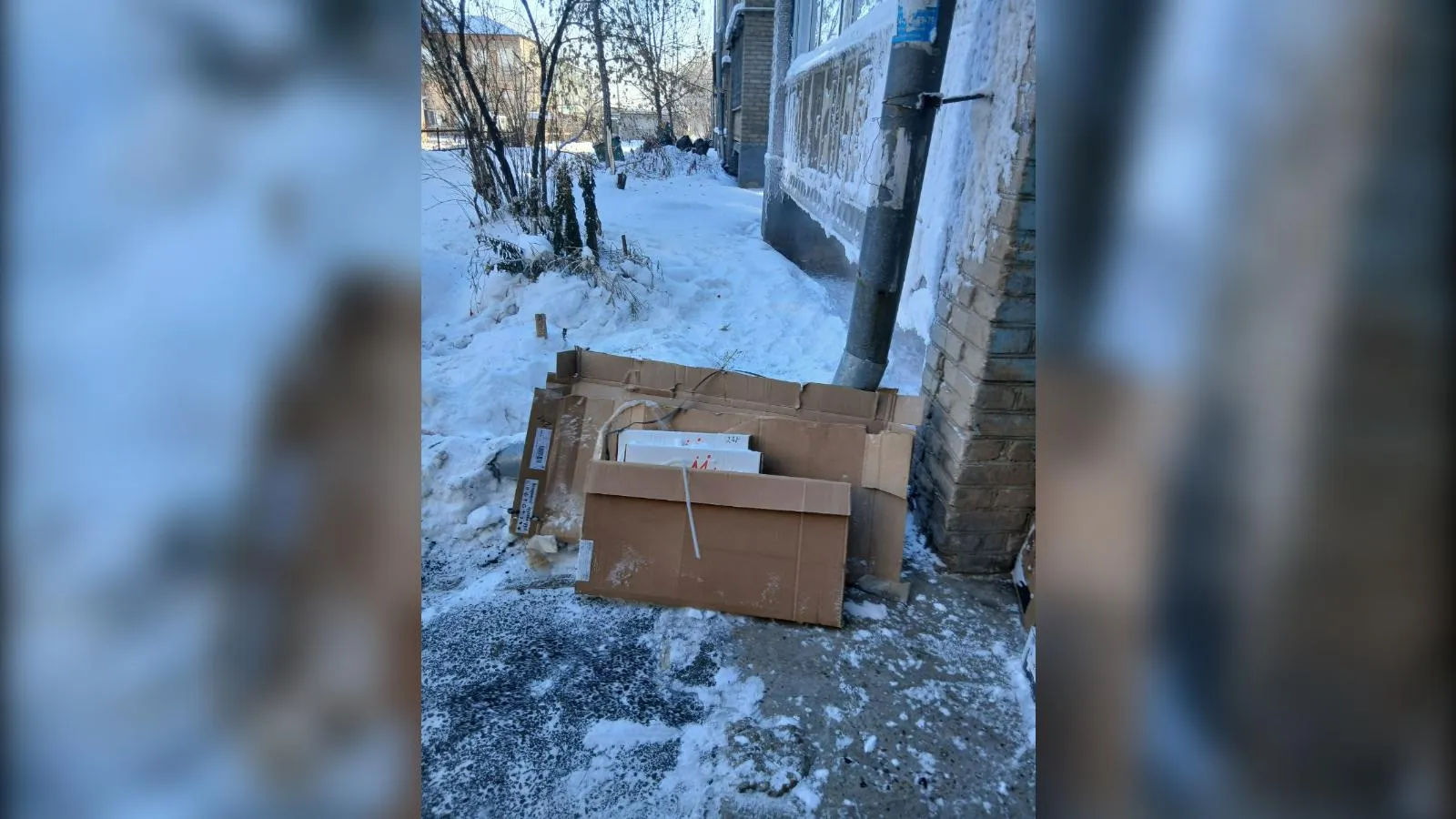 предоставлено собеседницей