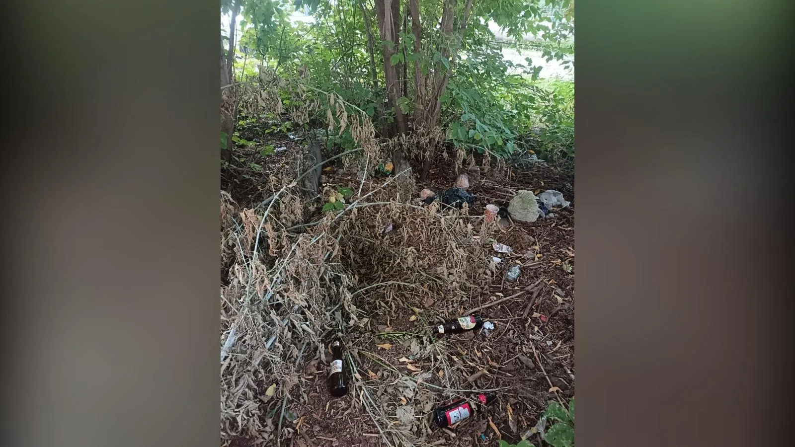 предоставлено собеседницей