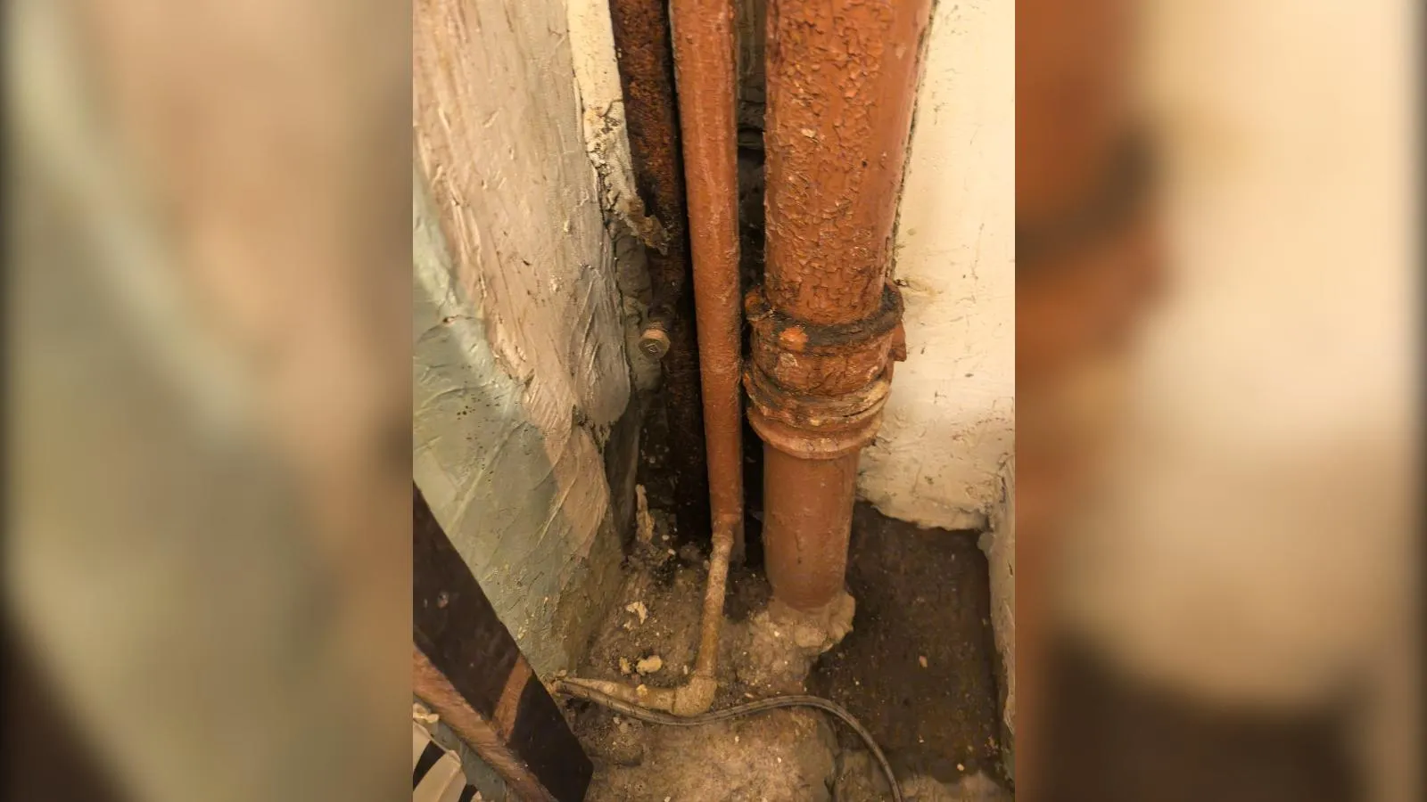 предоставлено собеседницей