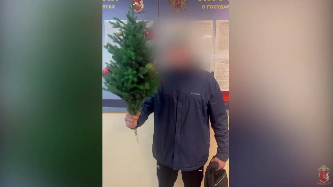 Пресс-служба ГУ МВД РФ по Вологодской области / Скриншот видео