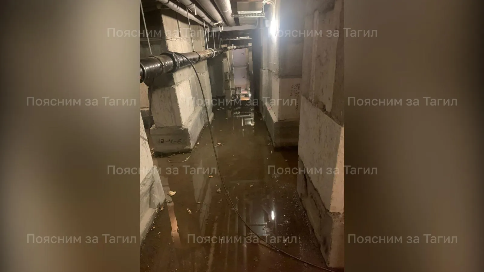 предоставлено собеседницей