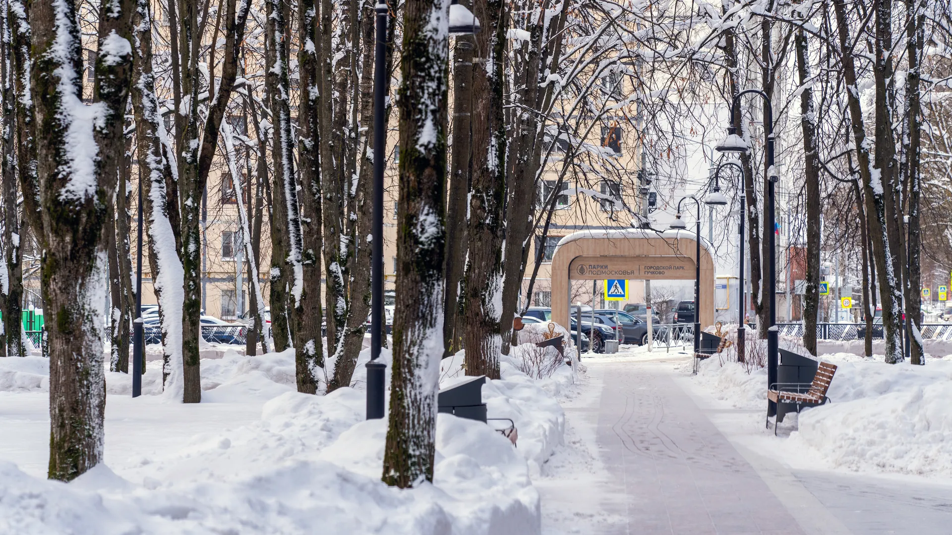 Зима в городском парке «Гучково» в Дедовске округа Истра