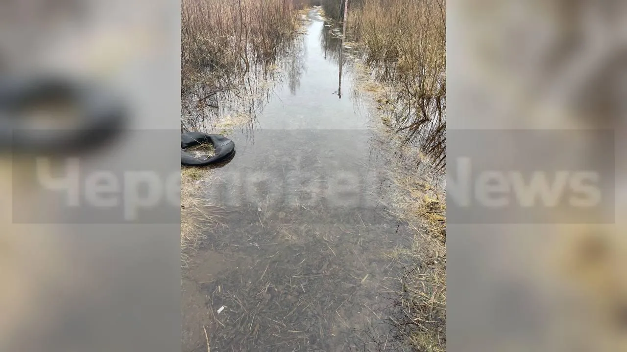 предоставлено собеседницей