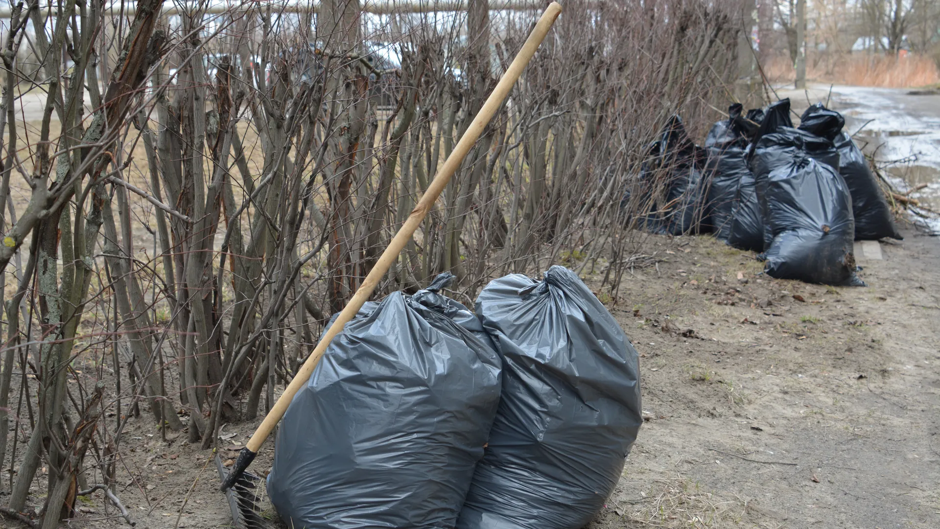 Медиасток.рф