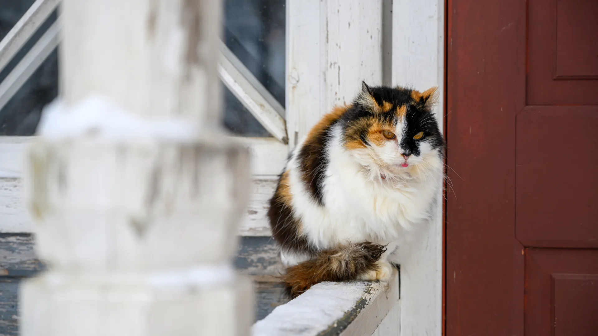 Медиасток.рф