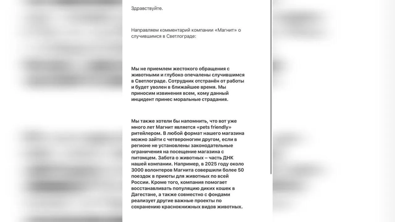 Приют «Лучший друг»