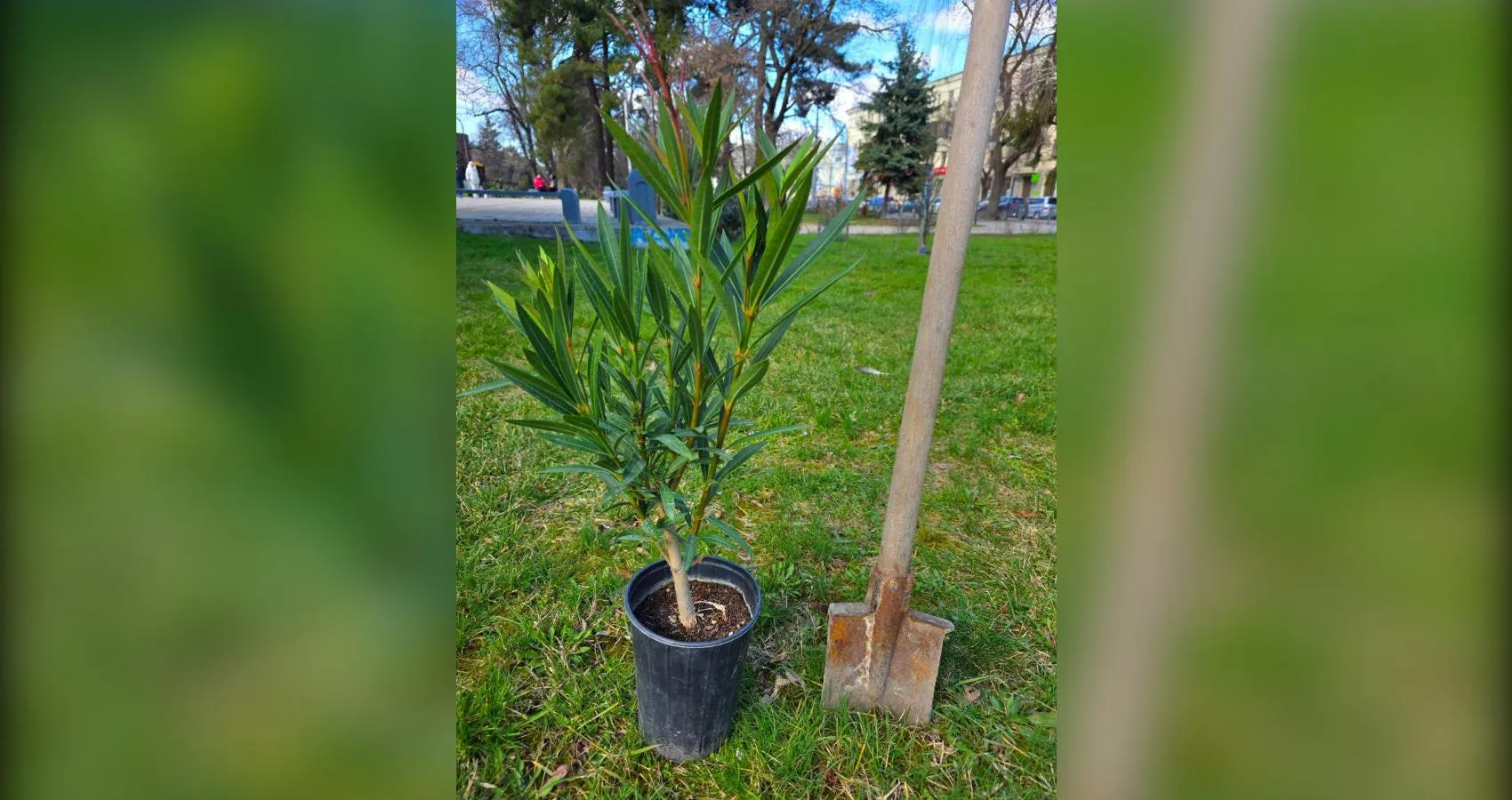предоставлено собеседником