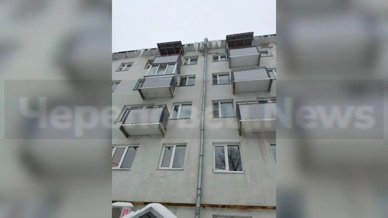 предоставлено собеседницей