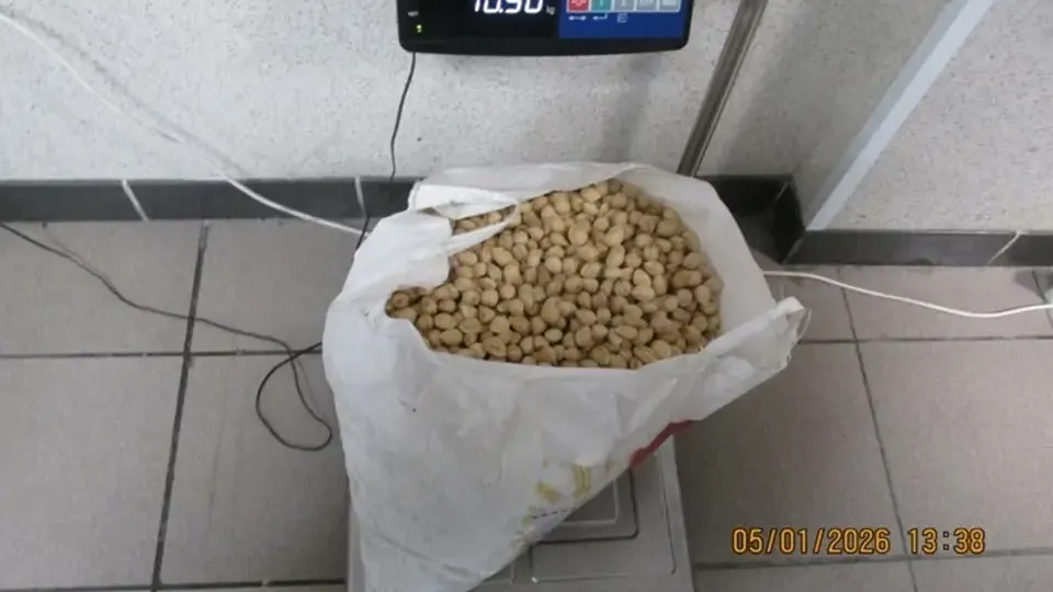 пресс-служба Россельхознадзора Тюменской области.