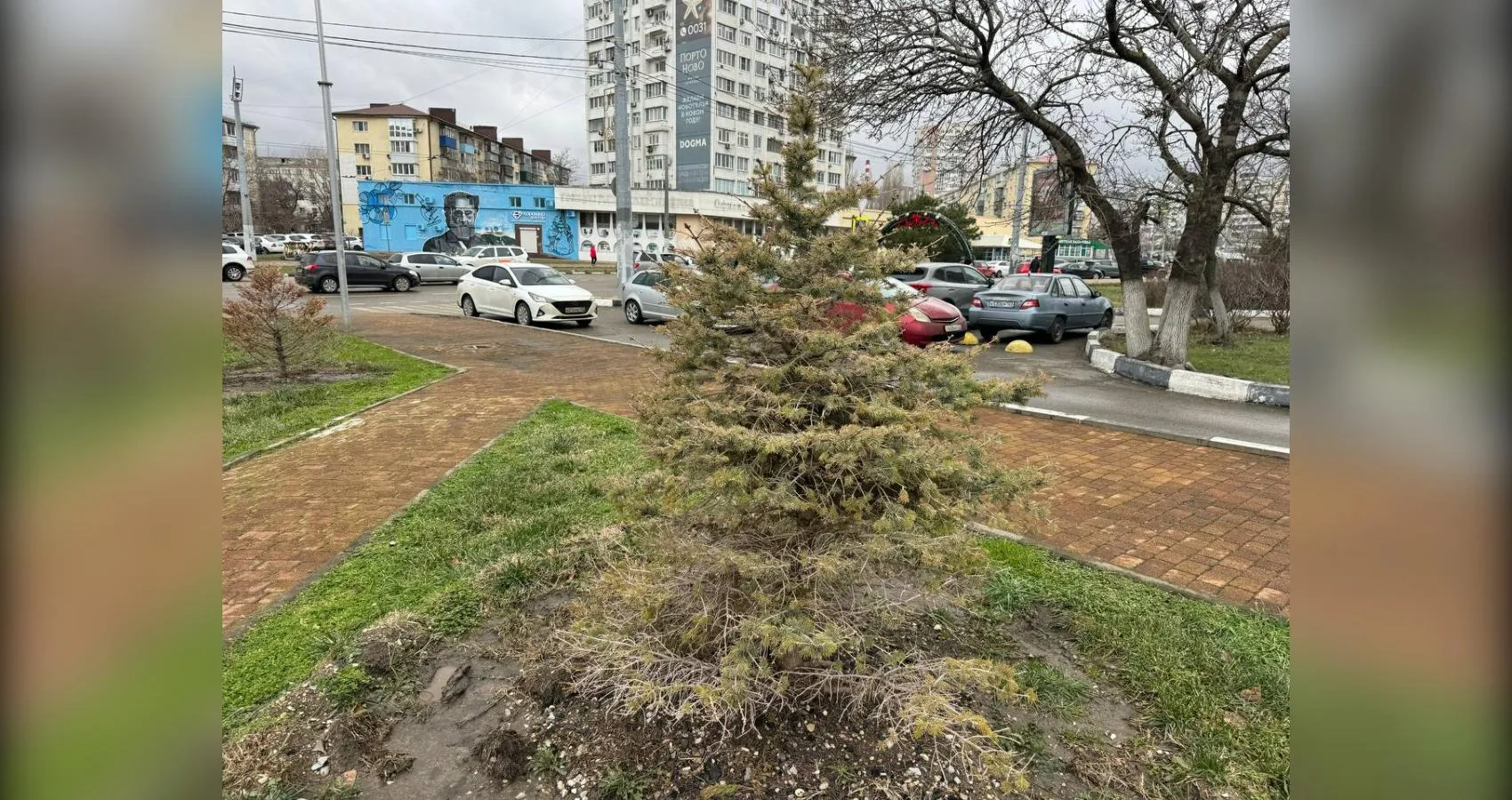 предоставлено собеседником