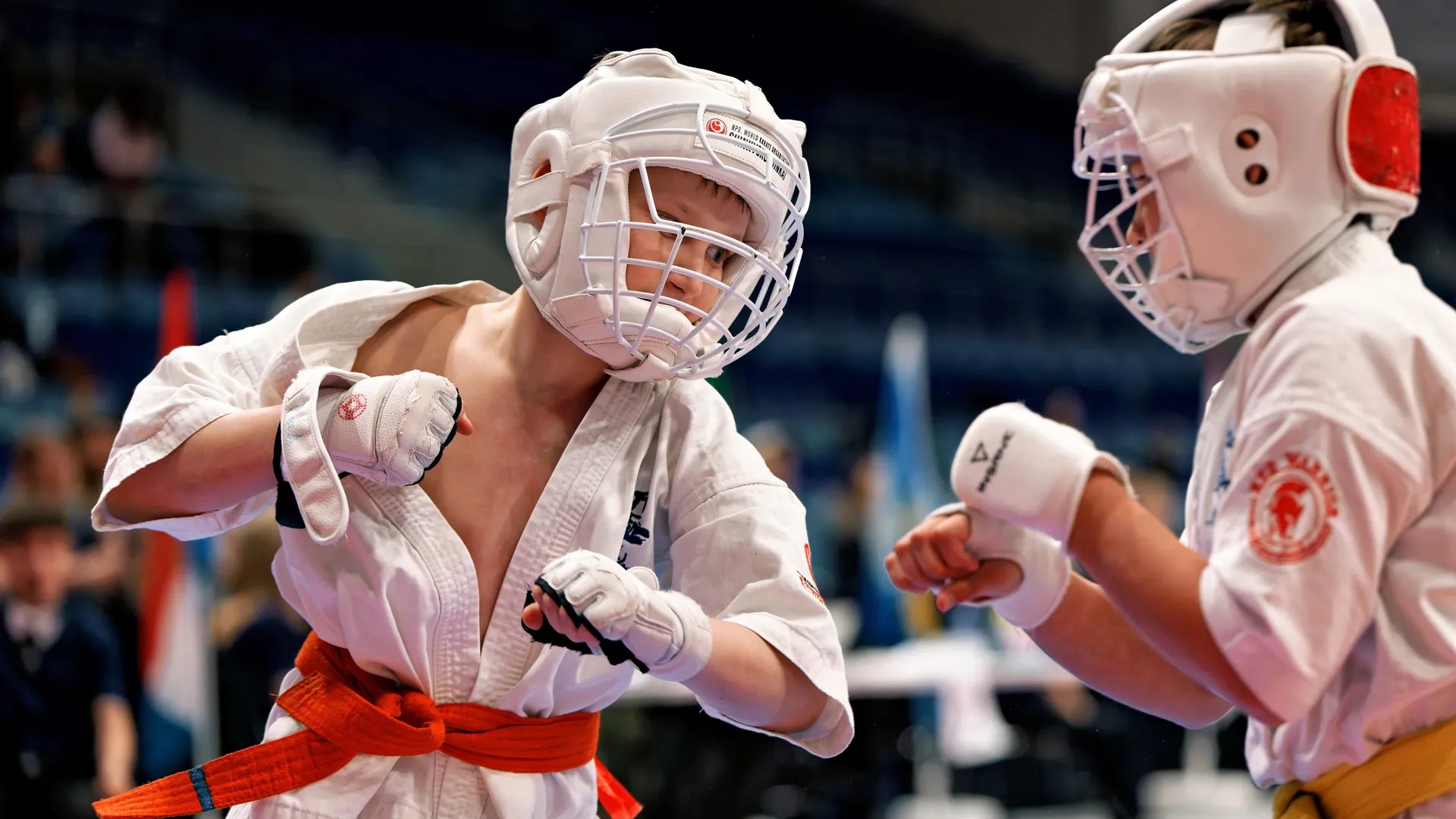 Фестиваль спортивных единоборств и боевых искусств «Кубок Равноапостольного Николая Японского» в Мытищах