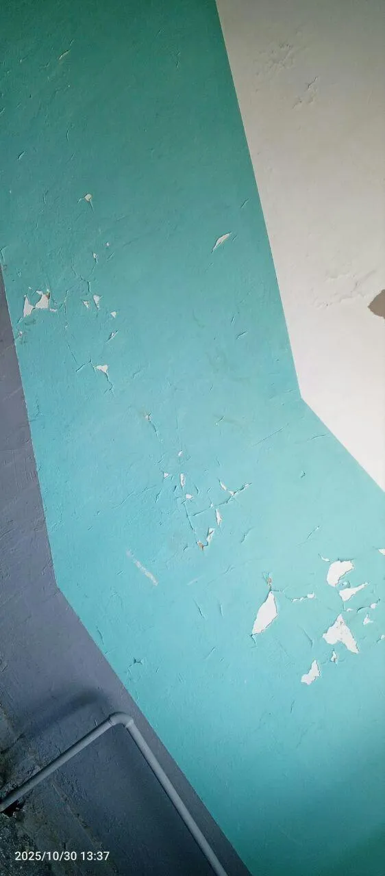 предоставлено собеседницей