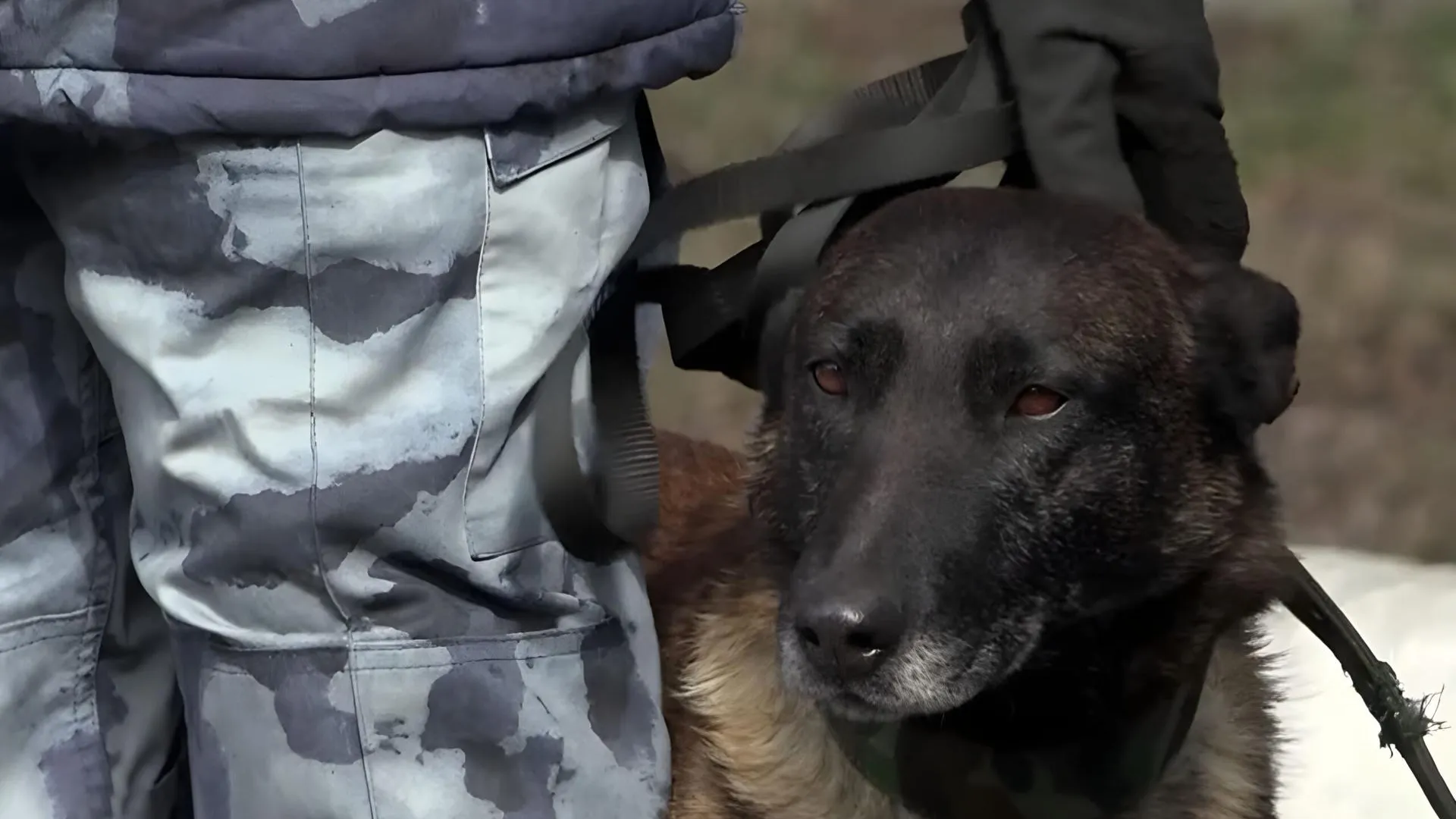 пресс-служба Управления Росгвардии по Кузбассу