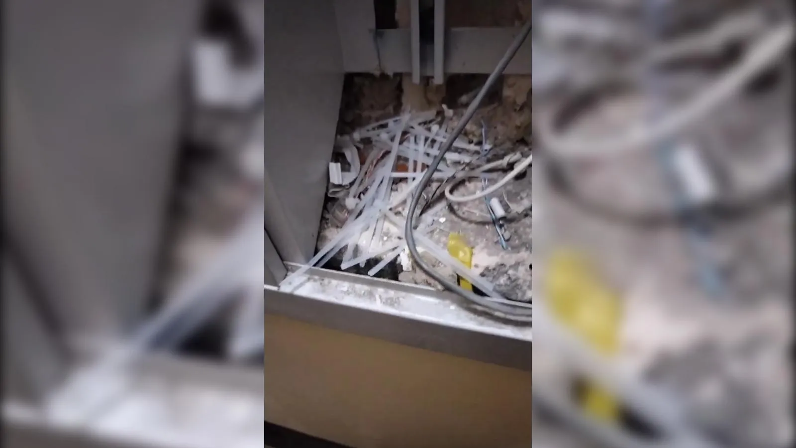 предоставлено собеседником