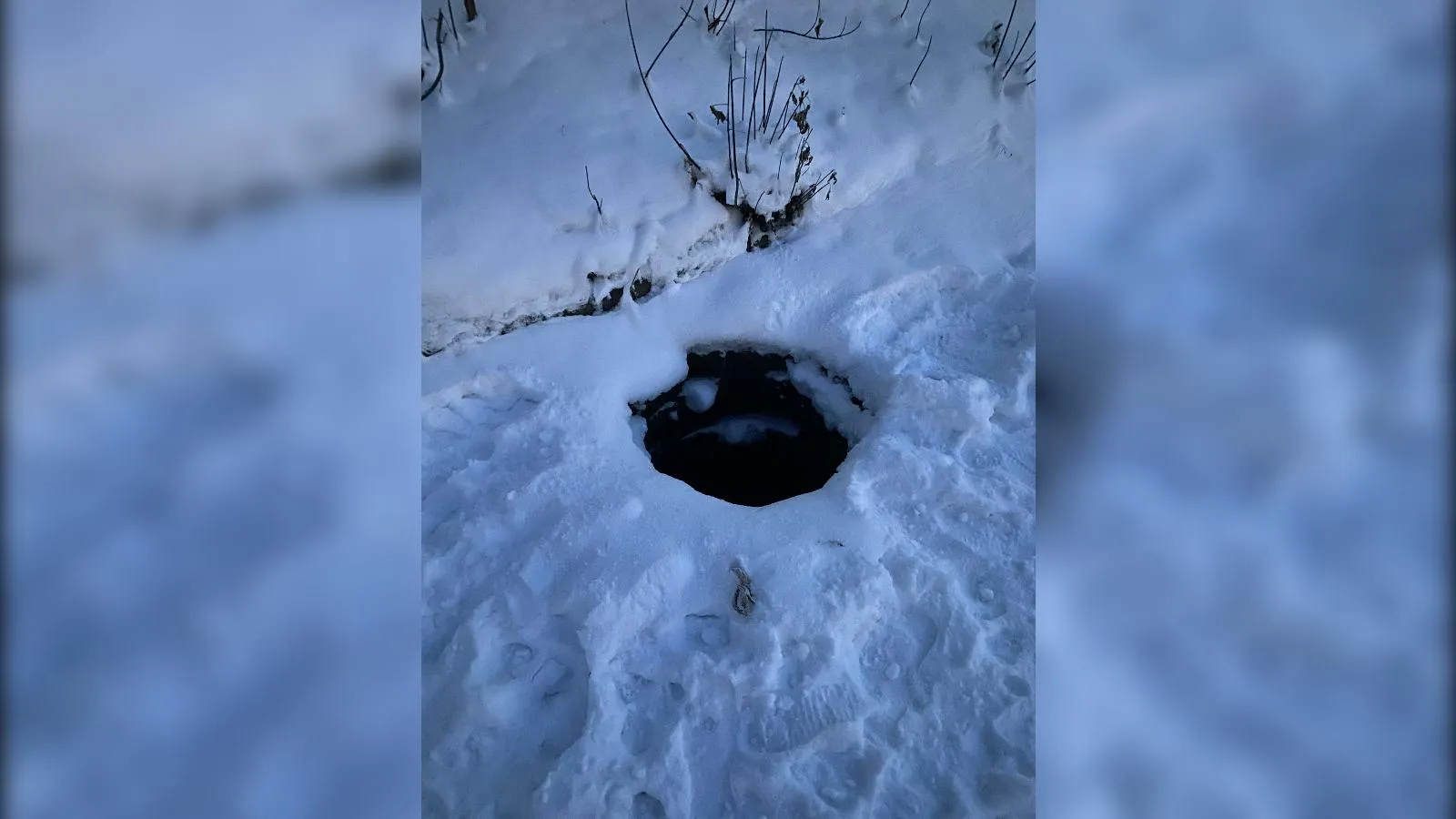 предоставлено собеседницей