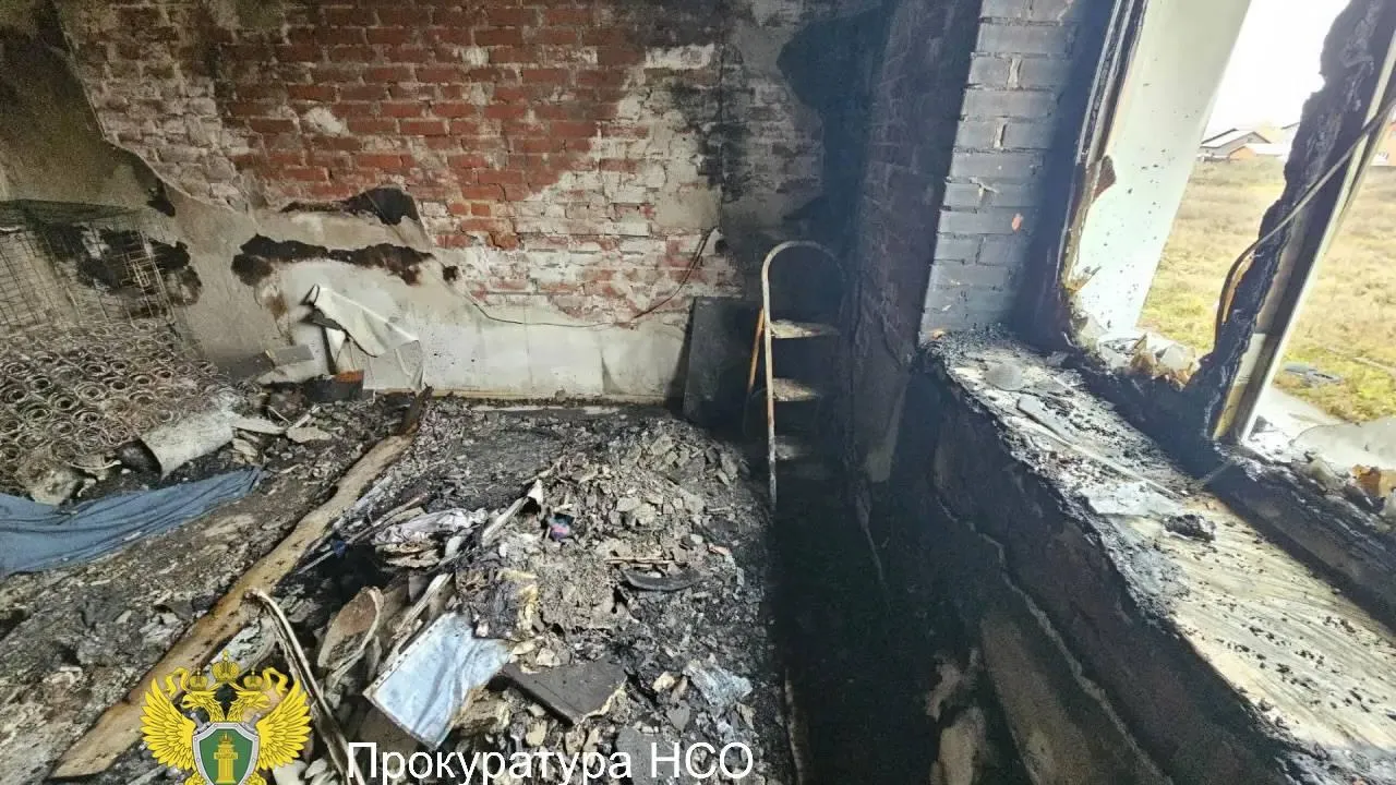 Прокуратура Новосибирской области