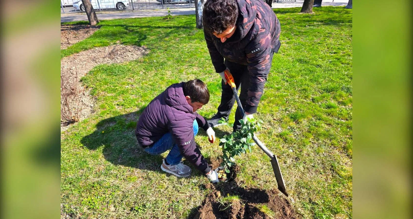 предоставлено собеседником