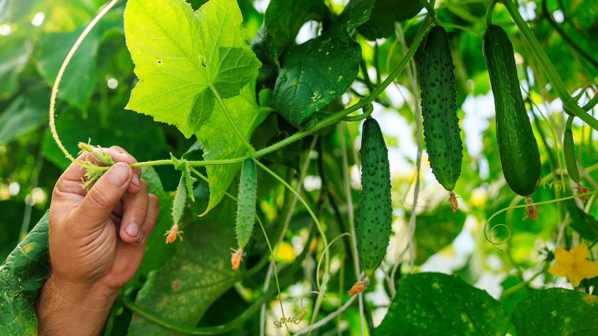 Медиасток.рф