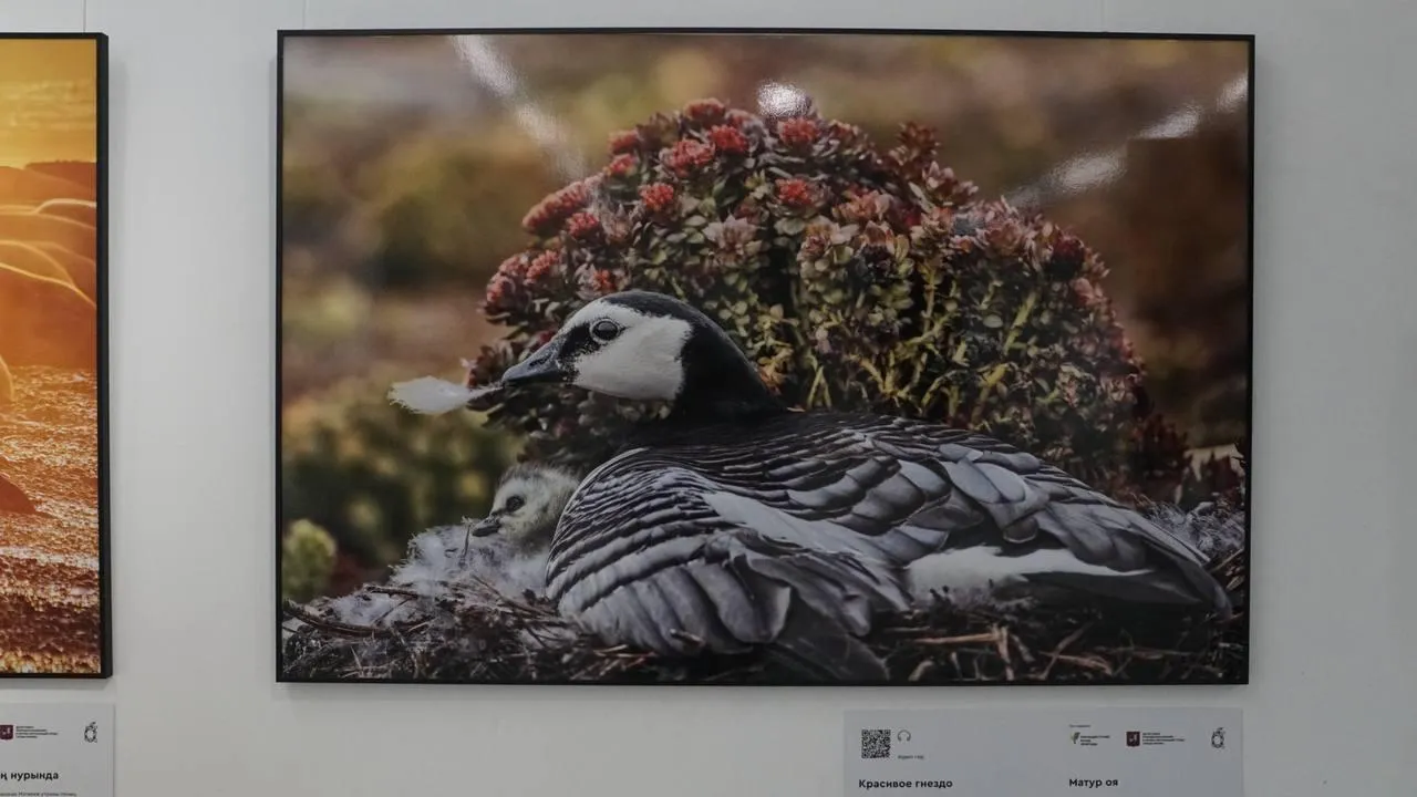 «Челны Live» / Екатерина Волкова