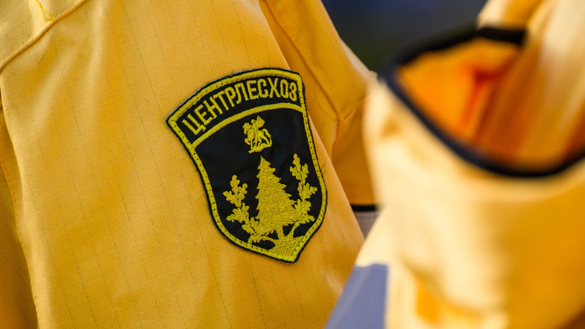 Открытие лесопожарной станции «Кратово» в Раменском округе