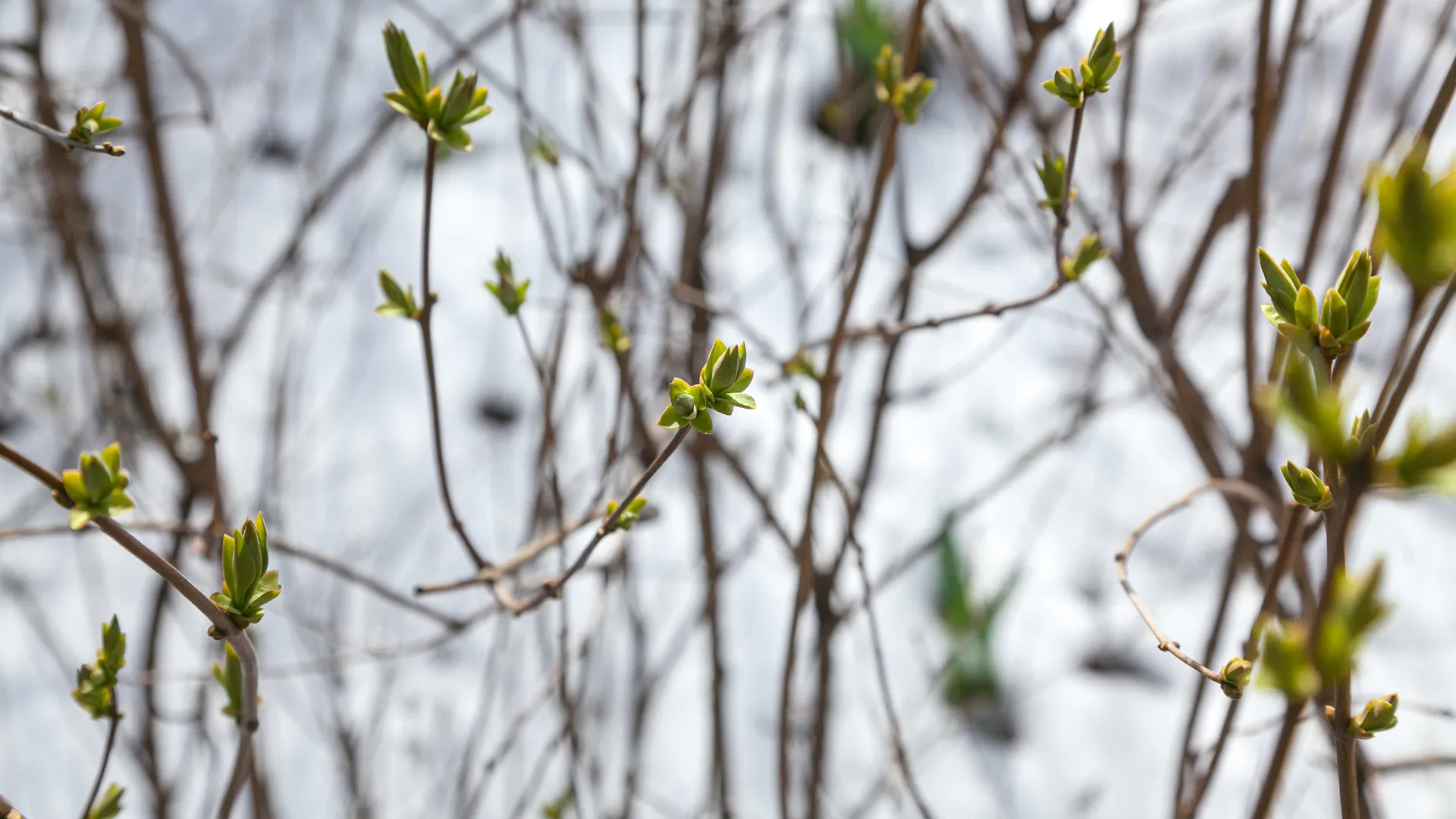 Весна в городе Дзержинский