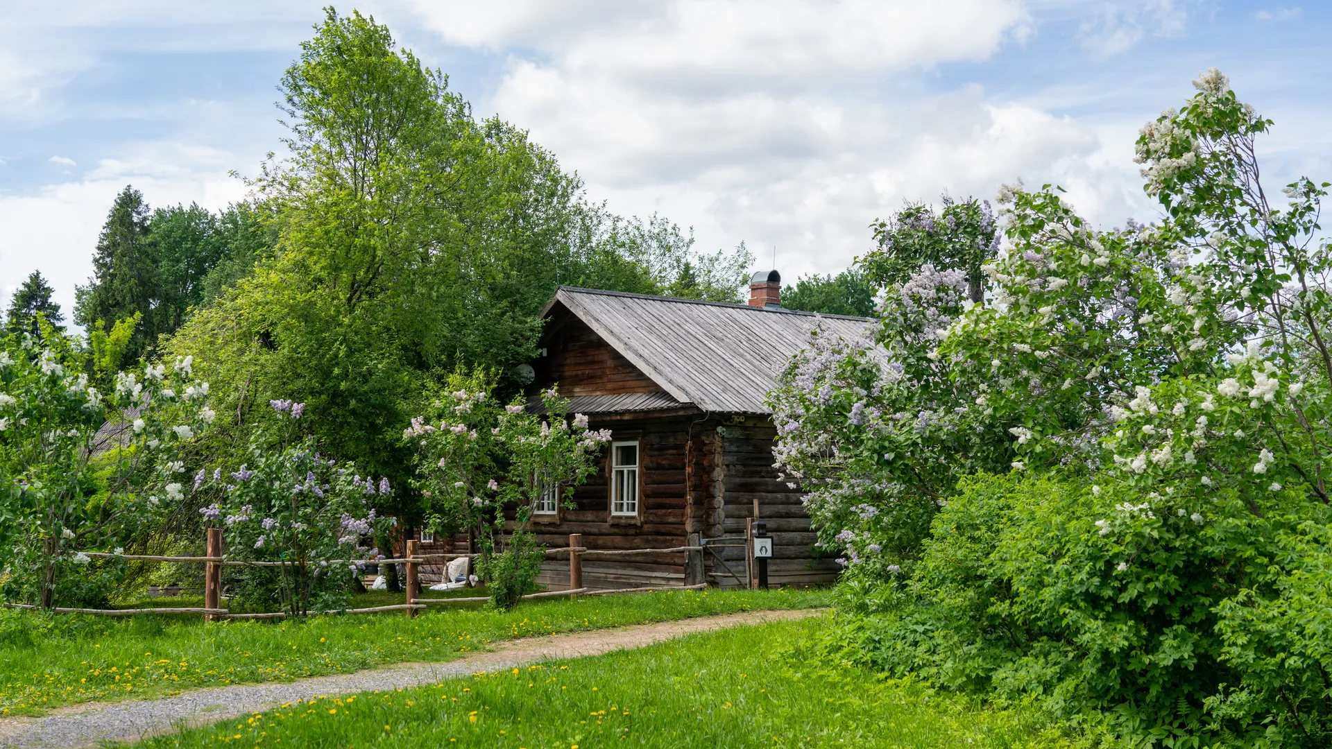 Картинка