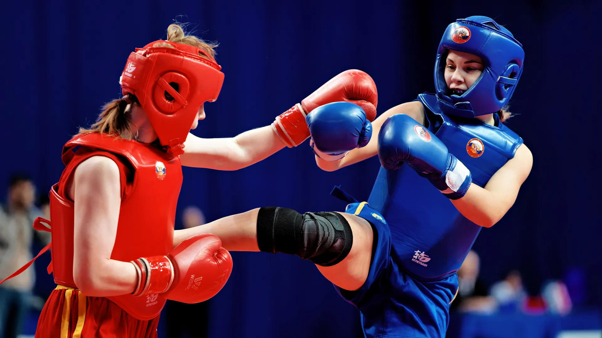 Чемпионат и Первенство Центрального федерального округа по ушу-саньда в Люберцах