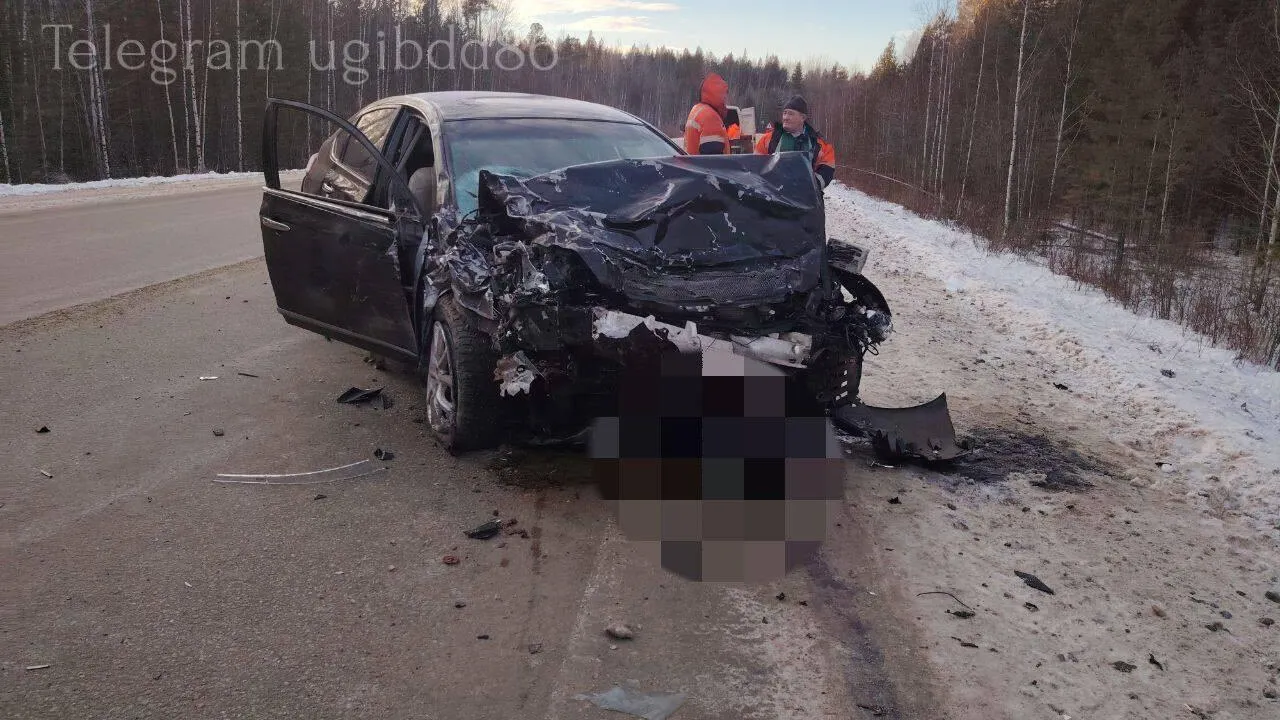 Пресс-служба госавтоинспекции Сургута