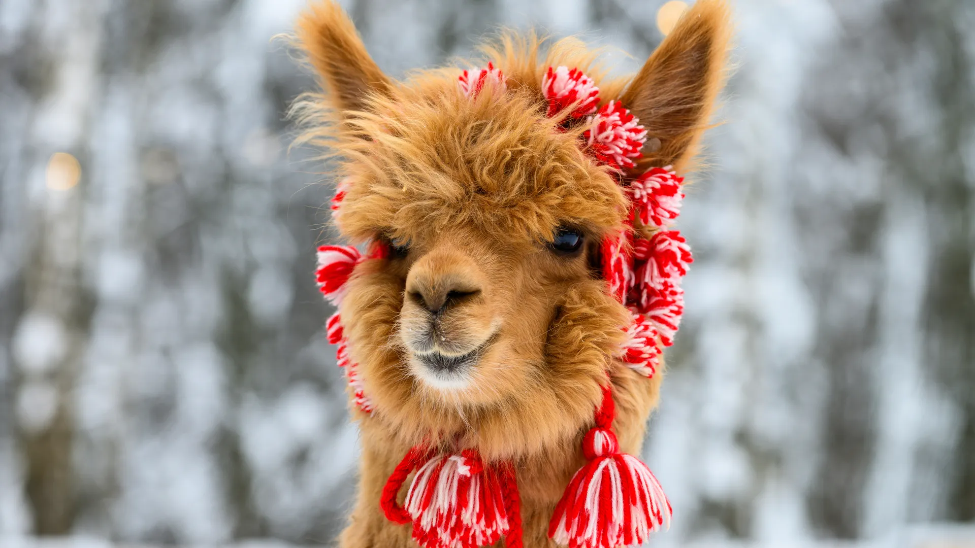 Медиасток.рф