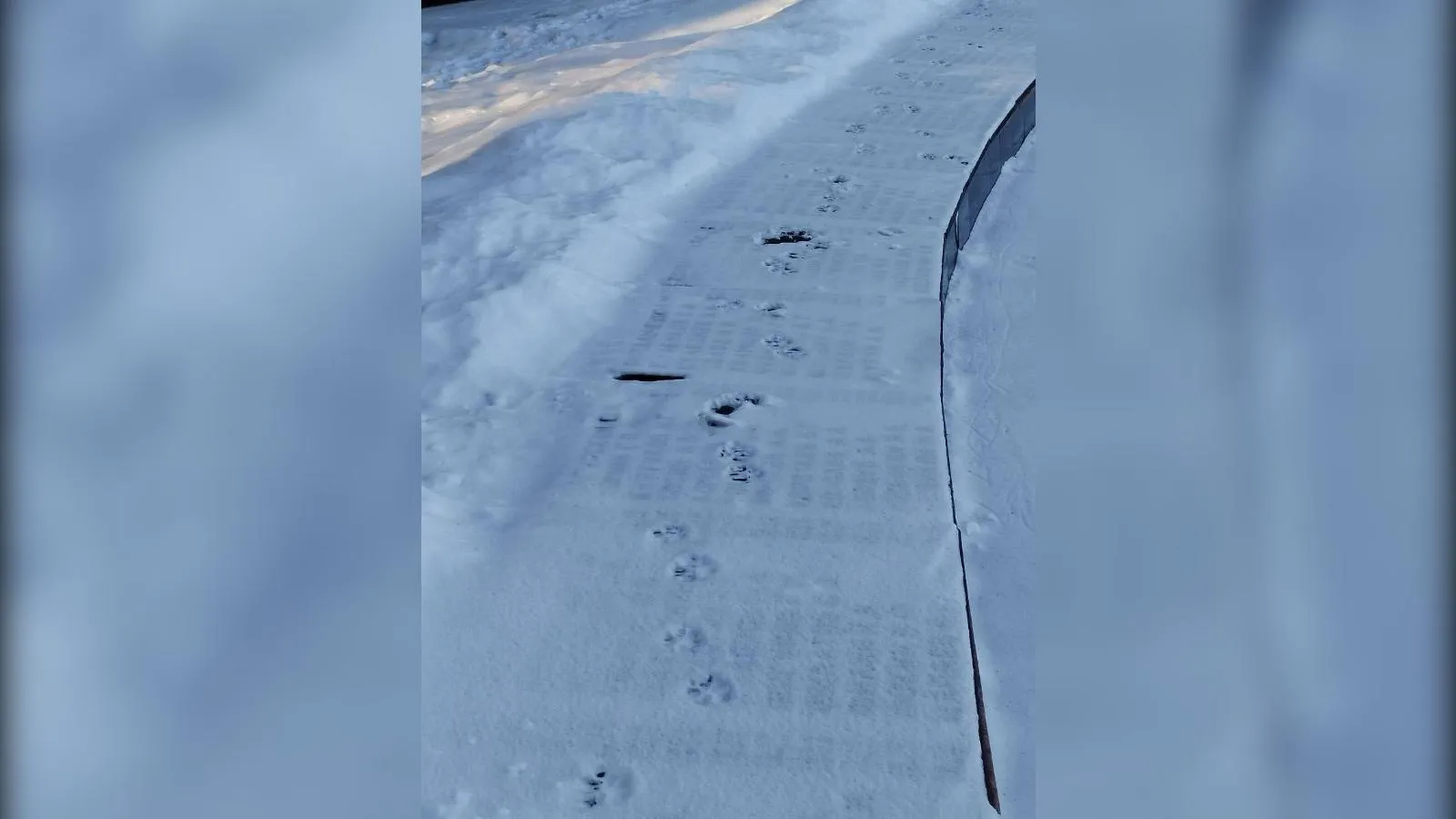 предоставлено собеседником