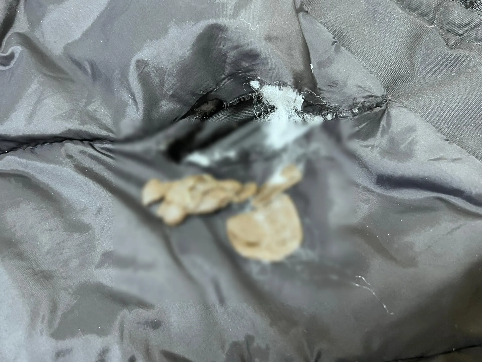 пресс-служба ГУФСИН России по Свердловской области