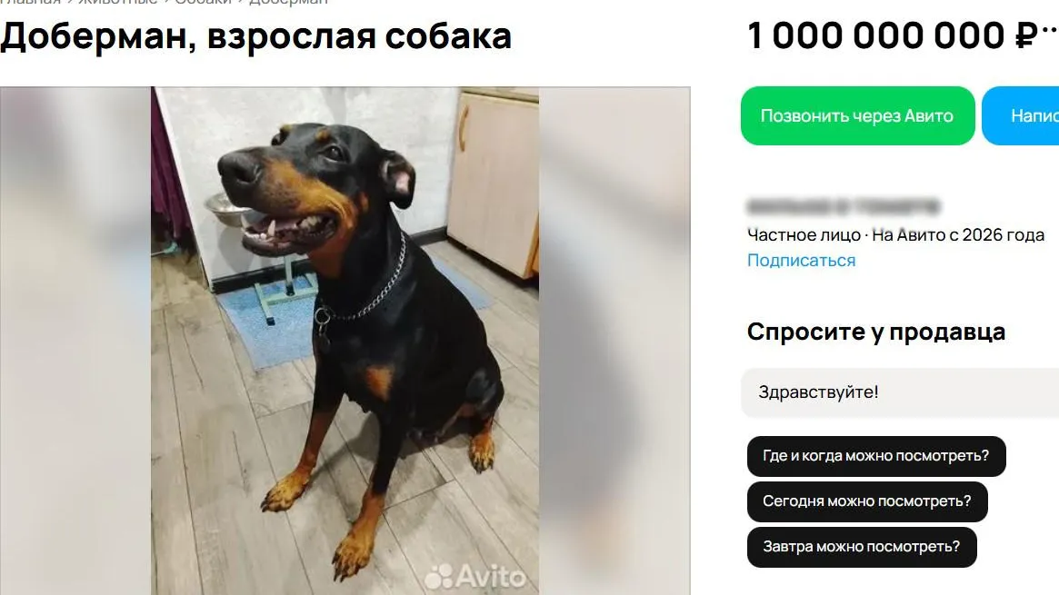 Скриншот "Авито"