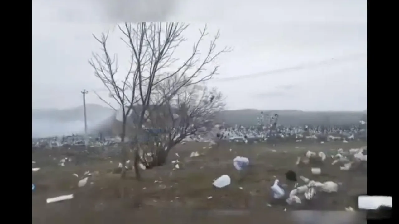 Соцсети / Скриншот видео