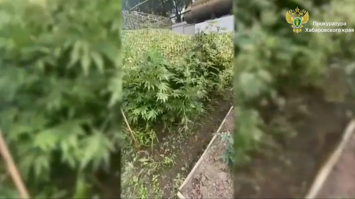 Пресс-служба прокуратуры Хабаровского края