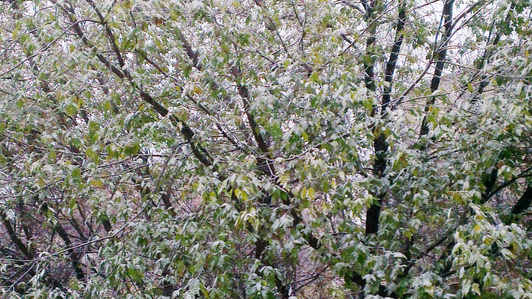 Медиасток.рф