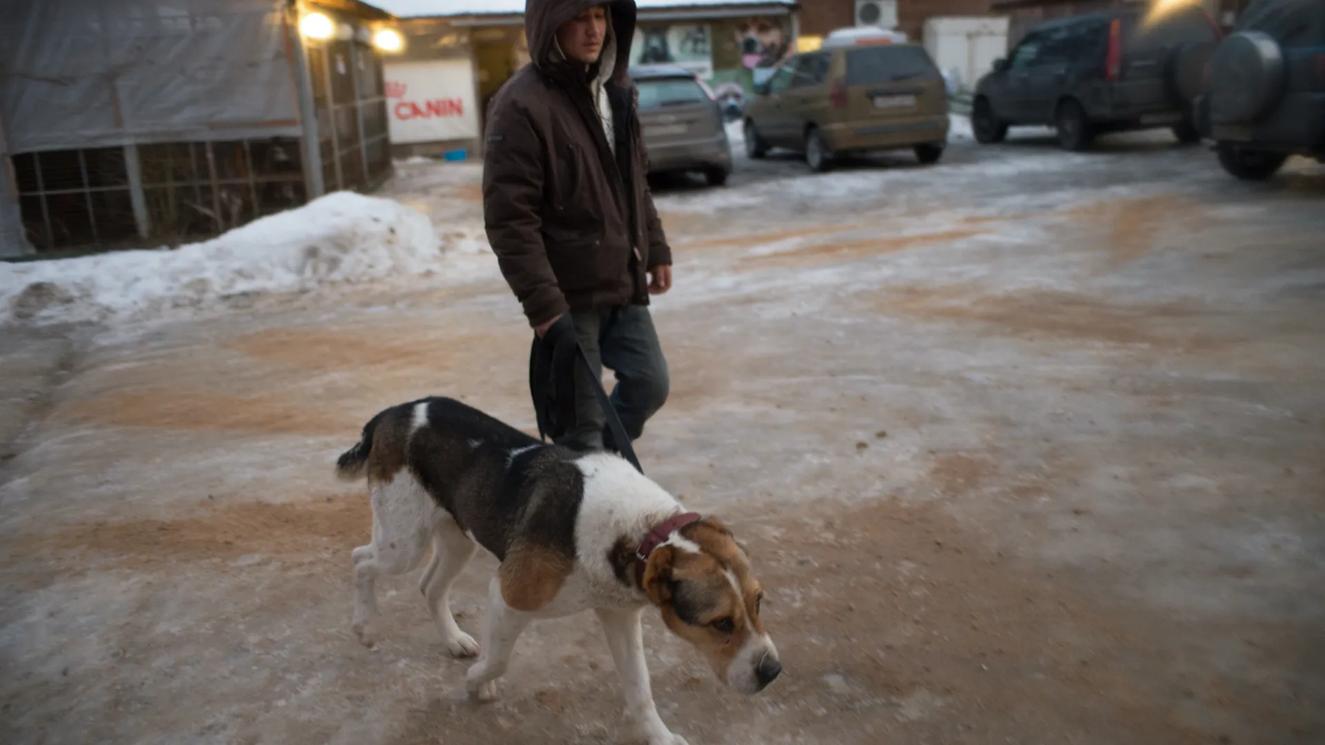 Медиасток.рф