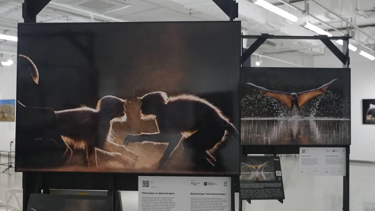 «Челны Live» / Екатерина Волкова