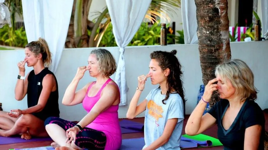 фото: Pinkpanther0/wikimedia