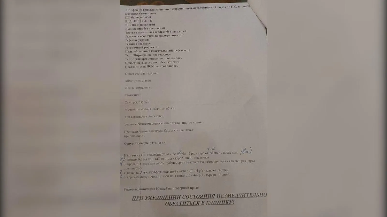 предоставлено собеседницей