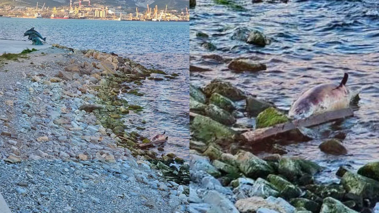 предоставлено собеседницей