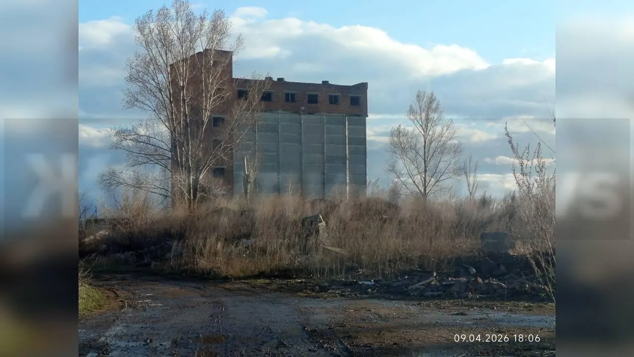 предоставлено собеседницей