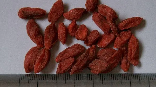 фото: KENPEI/wikimedia