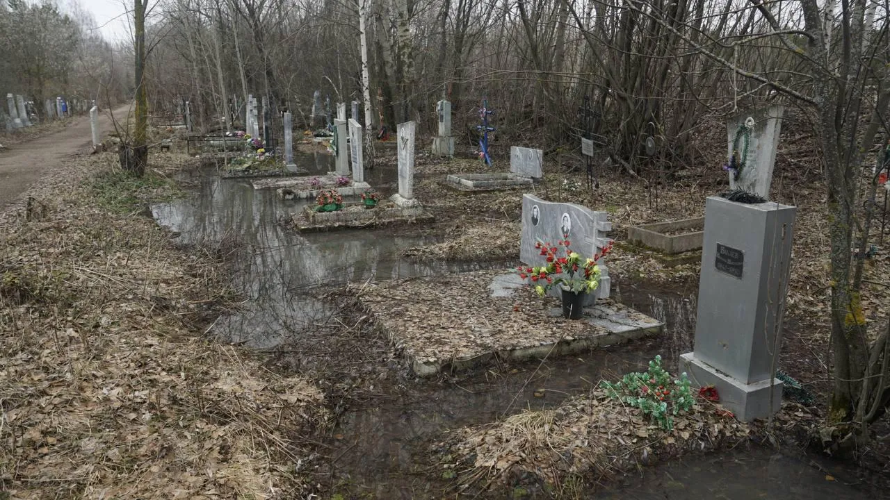 Самосыровское кладбище. «Челны Live» \ Екатерина Волкова