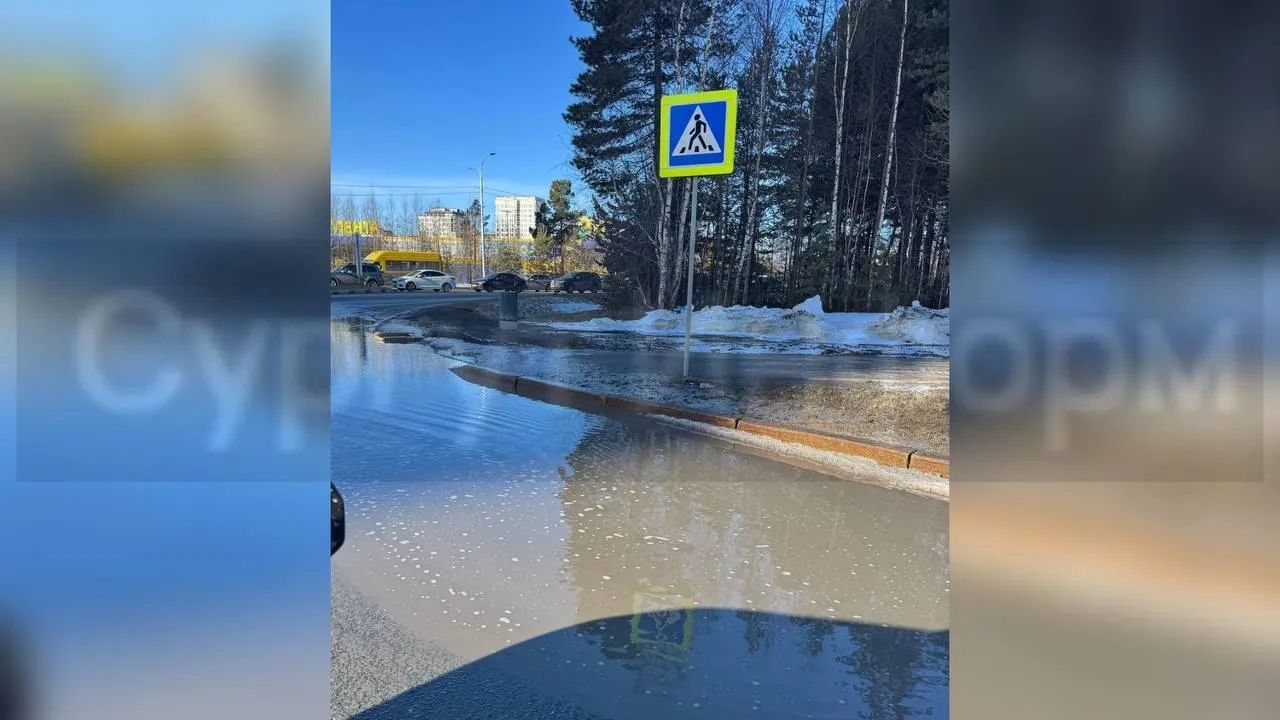 предоставлено собеседницей