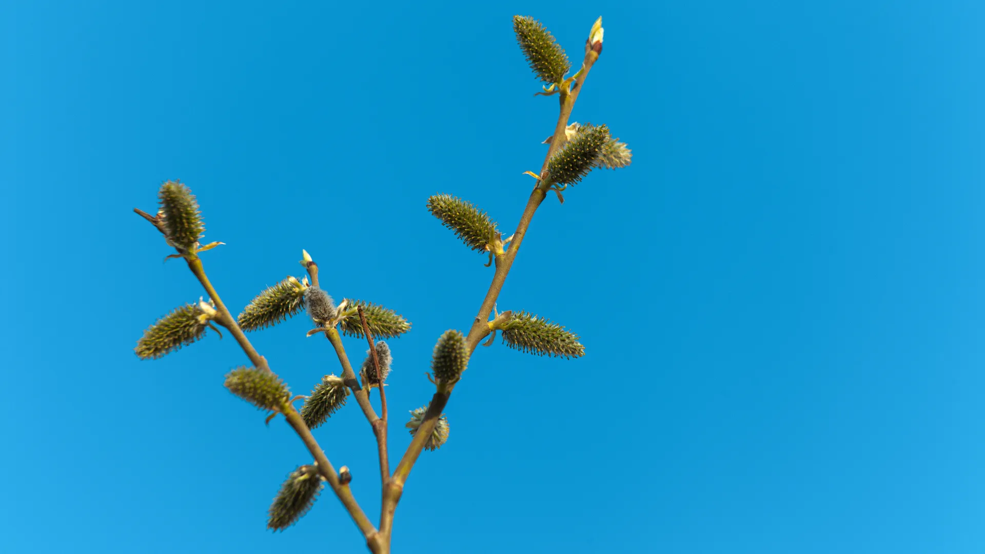 Медиасток.рф