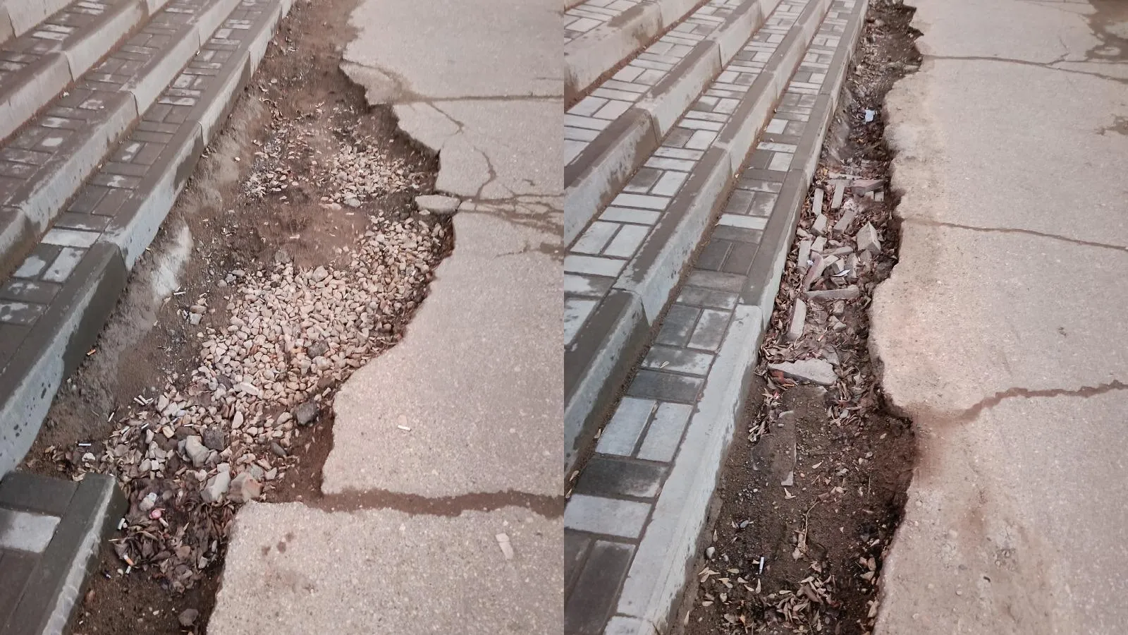 предоставлено собеседником