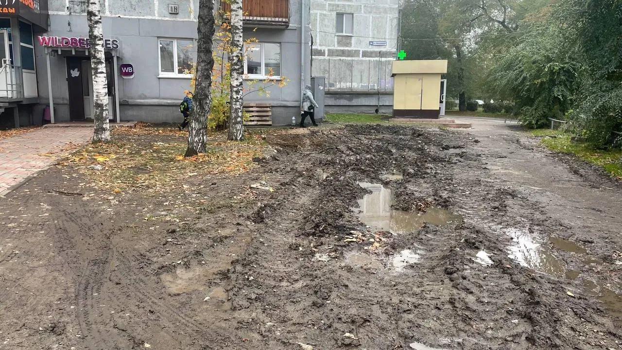 «СтальМедиа»
