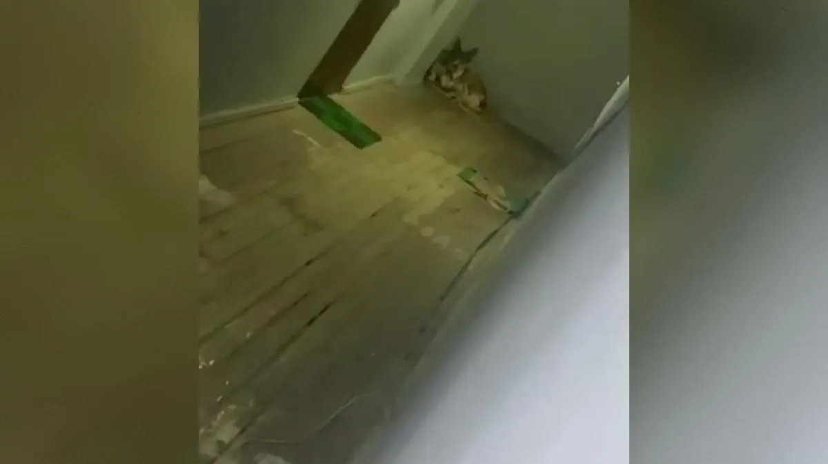 предоставлено собеседником