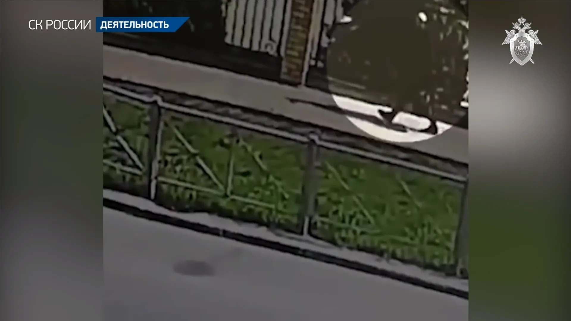 кадр видео пресс-службы Следкома