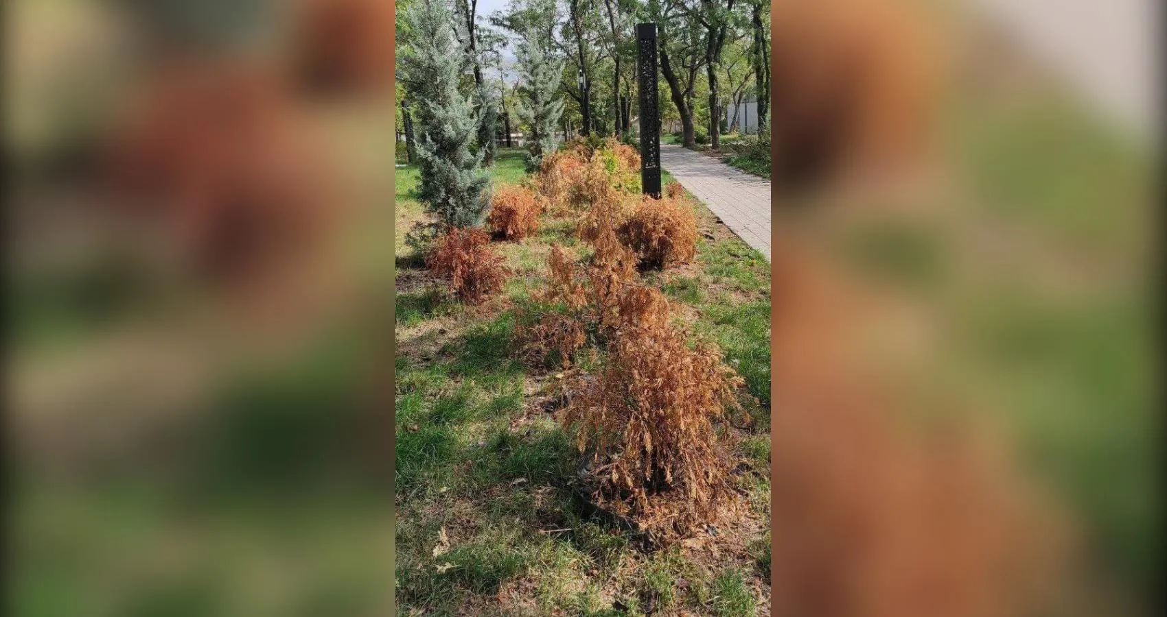 предоставлено собеседником